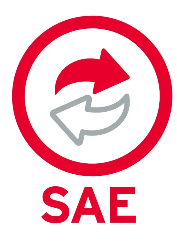 1 USUARIO ADICIONAL SAE ANUAL (SAEL12 V) (ELECTRONICO) -