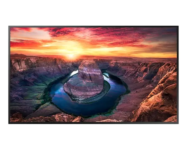 Monitor Profesional SAMSUNG QM43B - 43 pulgadas, 3840 x 2160 Pixeles